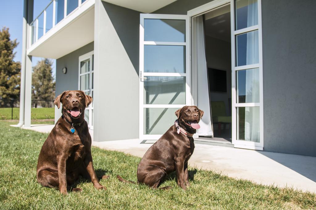 Hotel Abode Narrabundah Canberra Zewnętrze zdjęcie